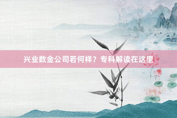 兴业数金公司若何样？专科解读在这里
